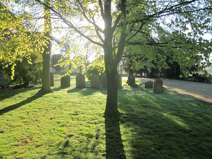 gallery image2
